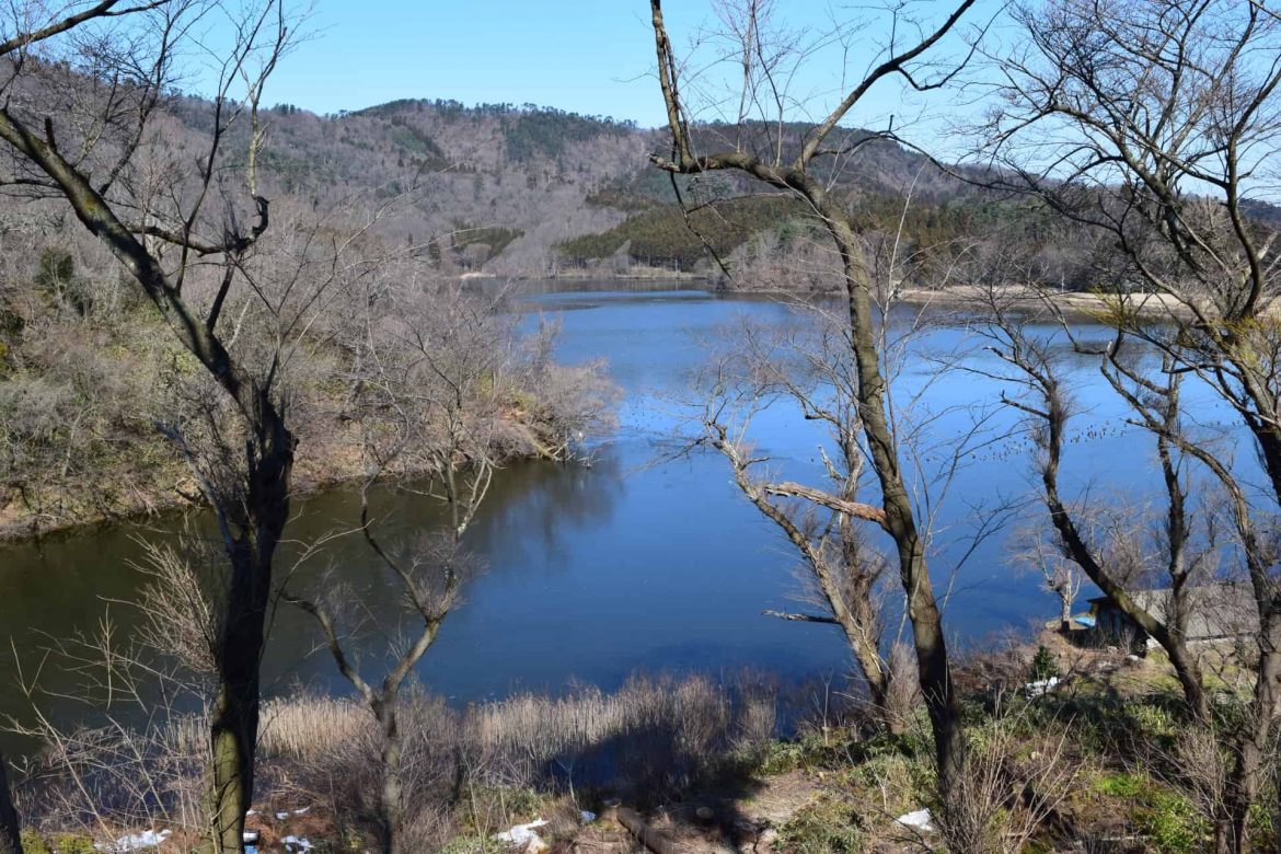 由水與土孕育出的生命之地 | 溼地中最多變的生態圈