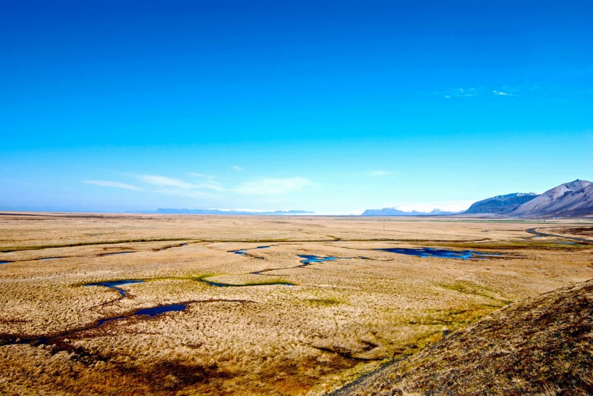 荒野生態大揭密!!上百種野性生物的蠻荒生活